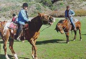 Obrazek